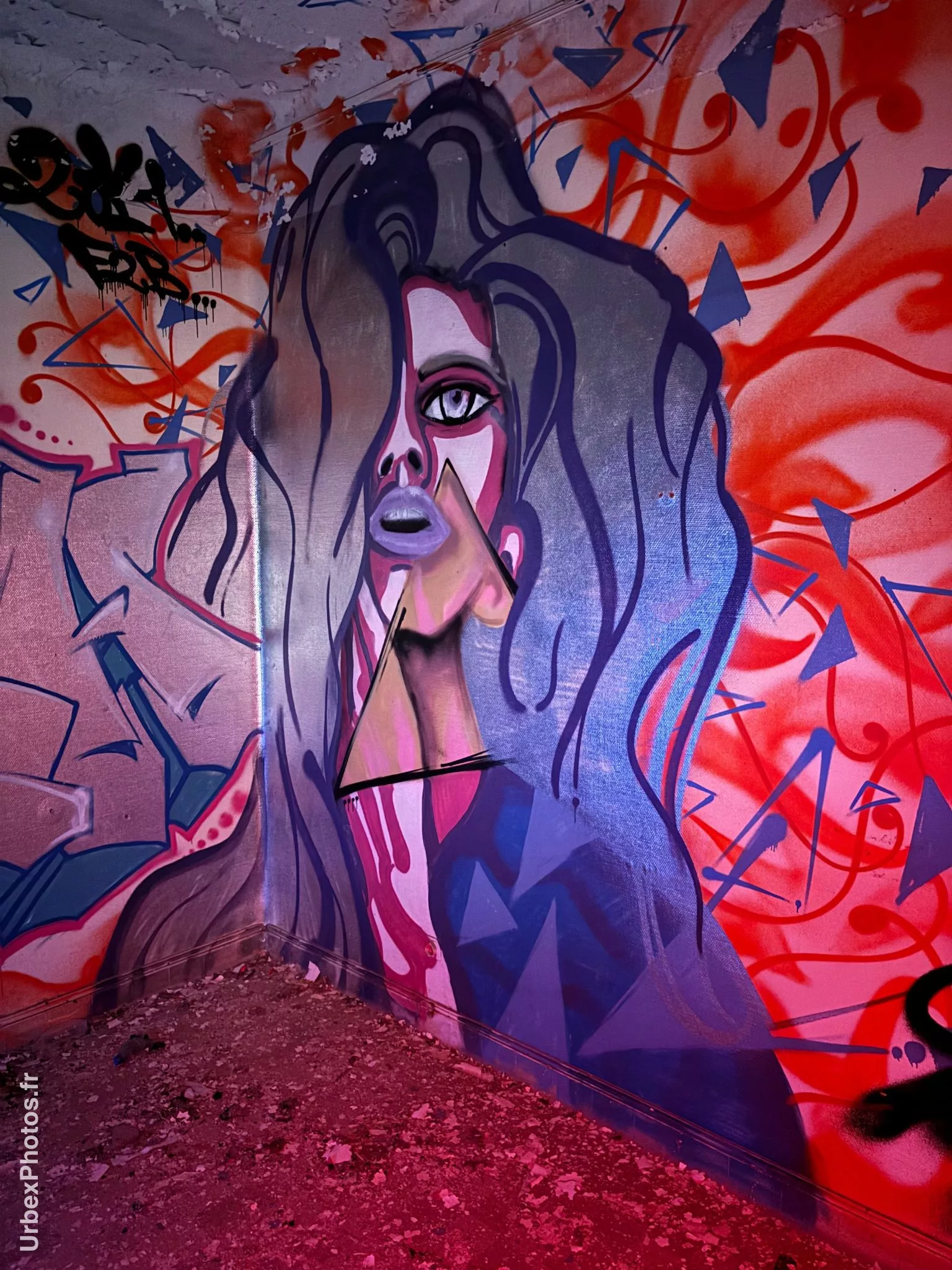 Graffiti dans le Sanatorium Simone Weber