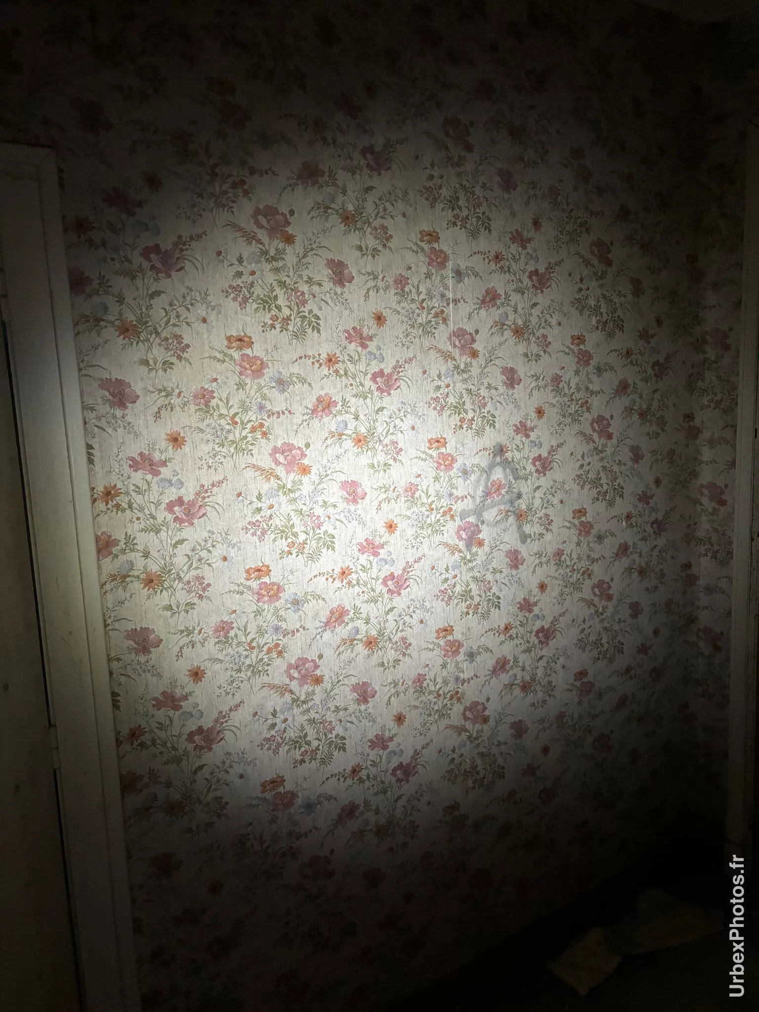 Photo urbex d'une tapisserie d'époque