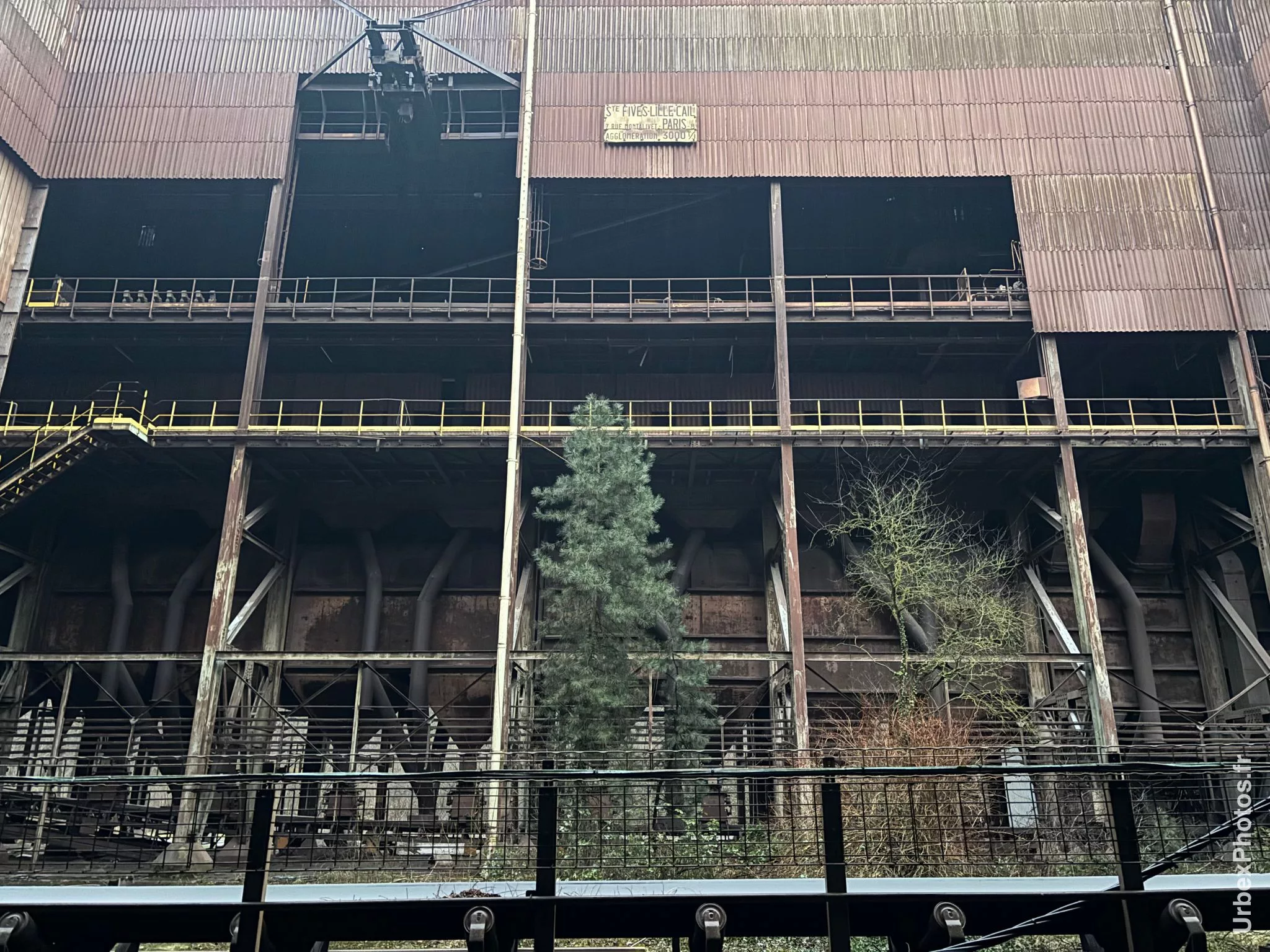 Arbres devant un bâtiment