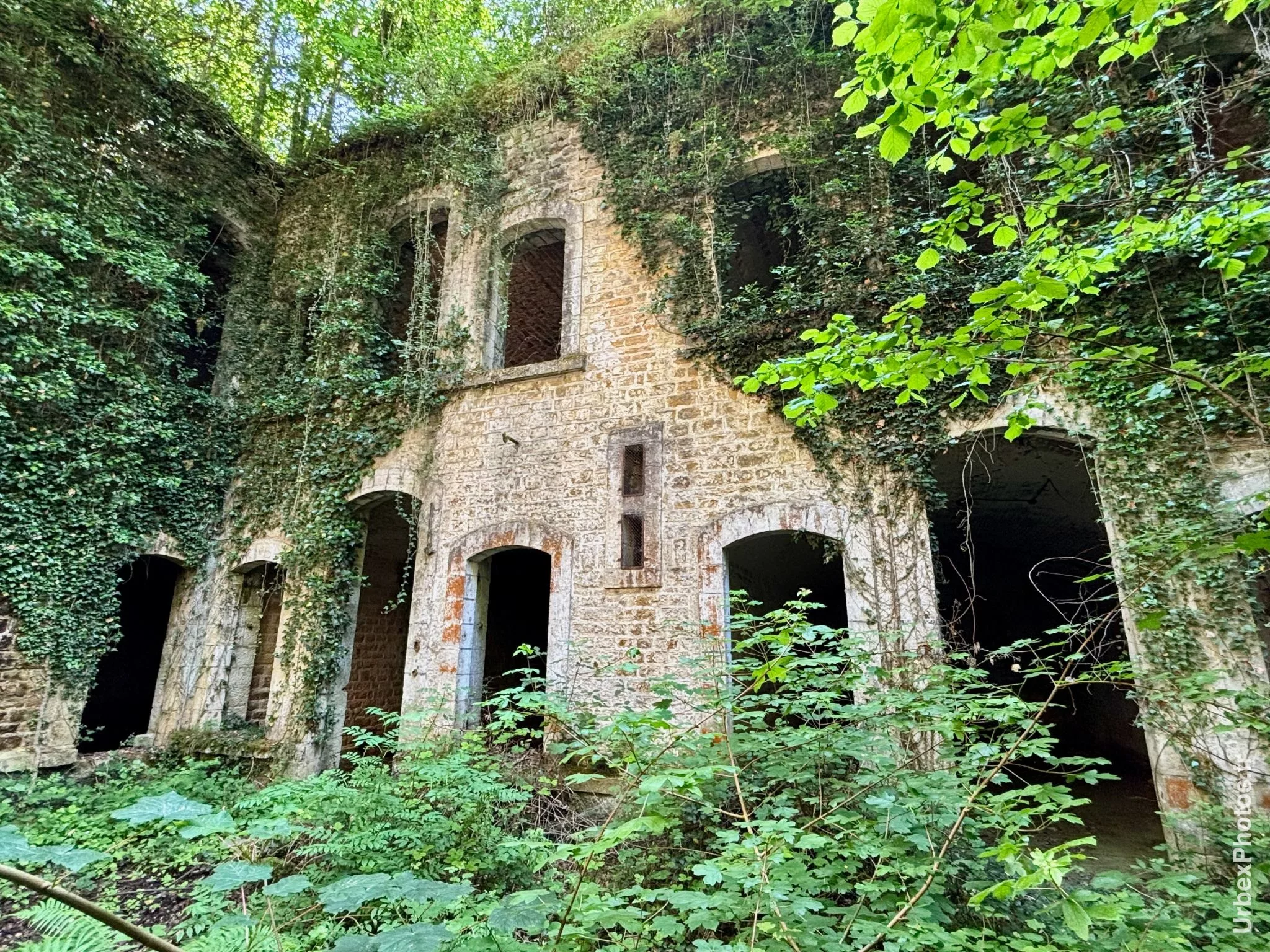 Photo urbex de la nature reprenant ses droits