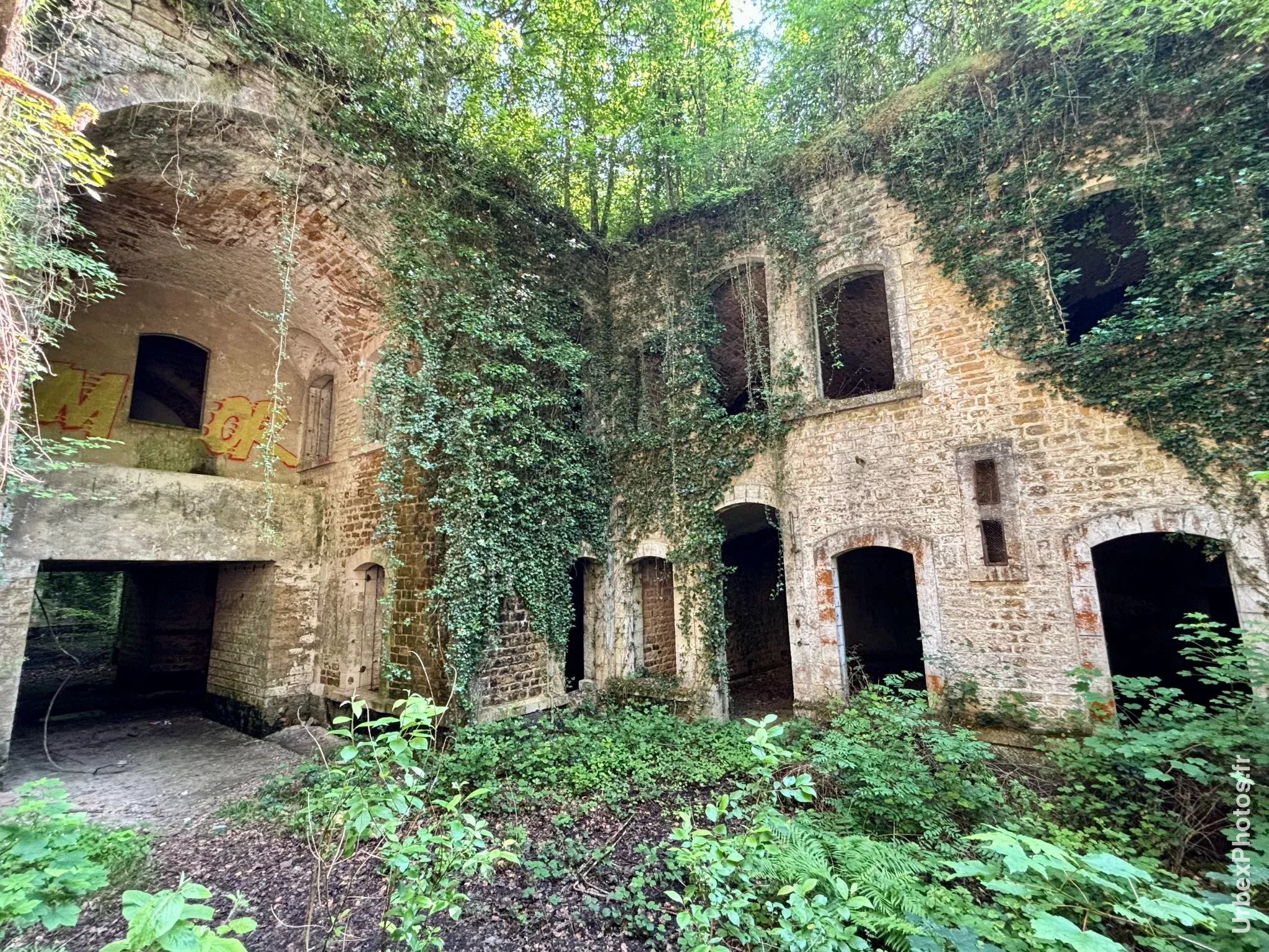 Photo urbex de la nature reprenant ses droits