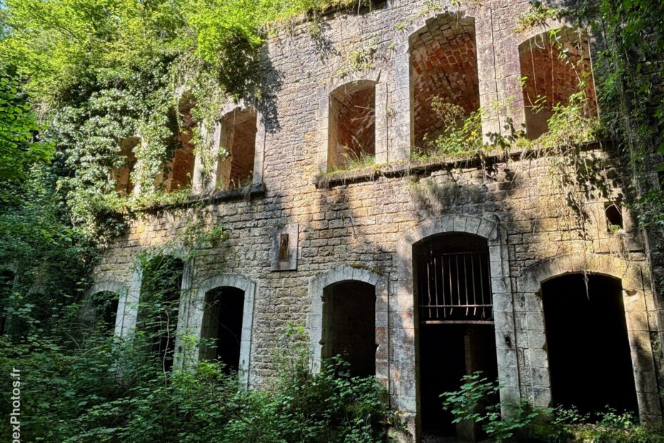 Photo urbex de la nature reprenant ses droits