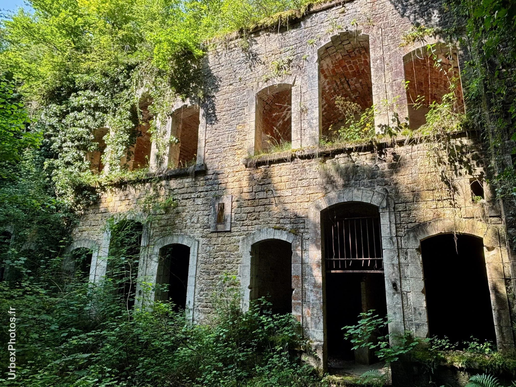 Photo urbex de la nature reprenant ses droits