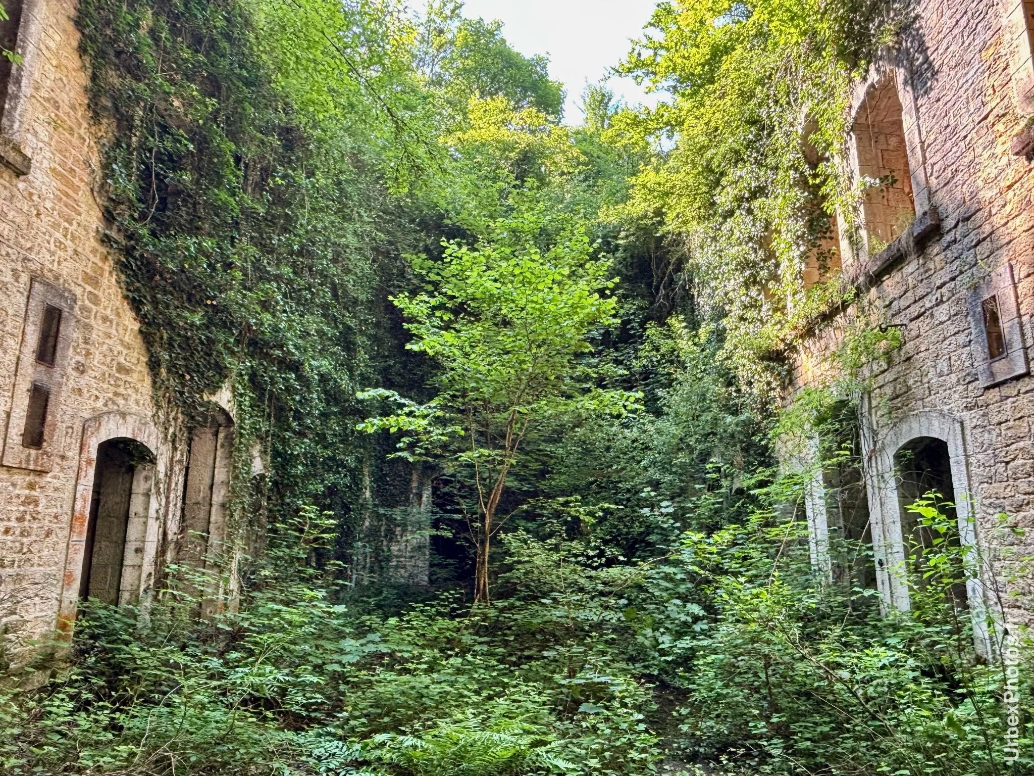Photo urbex de la nature reprenant ses droits
