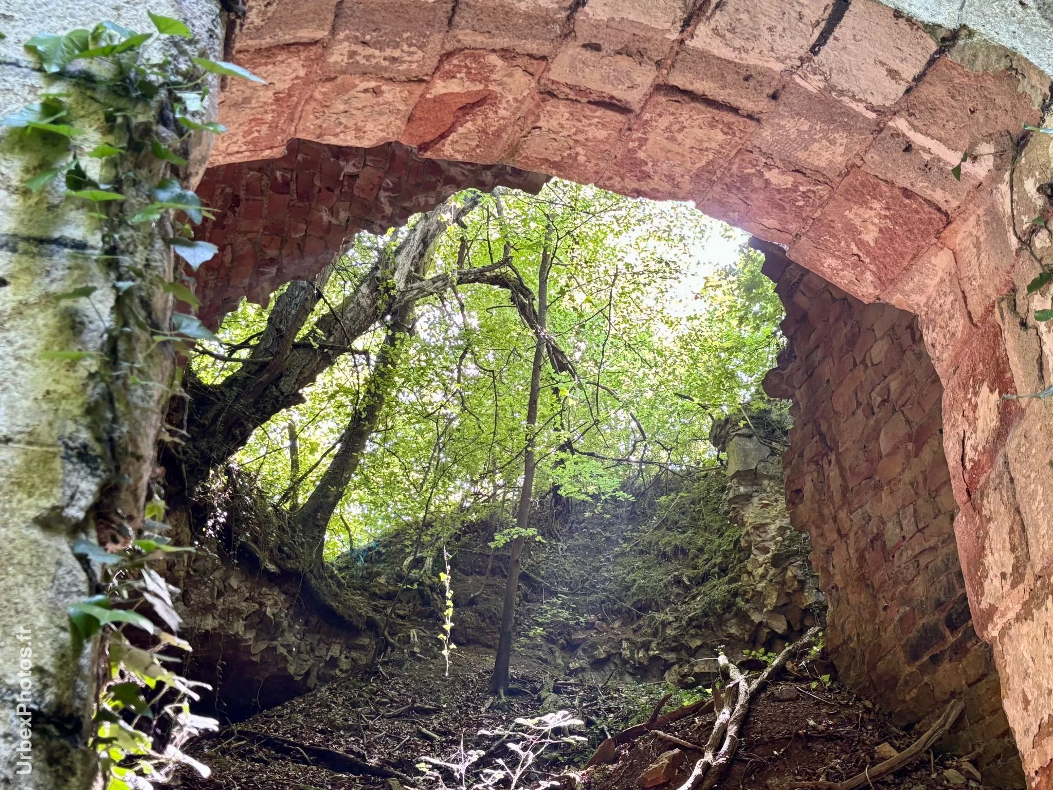 Photo urbex de la nature reprenant ses droits