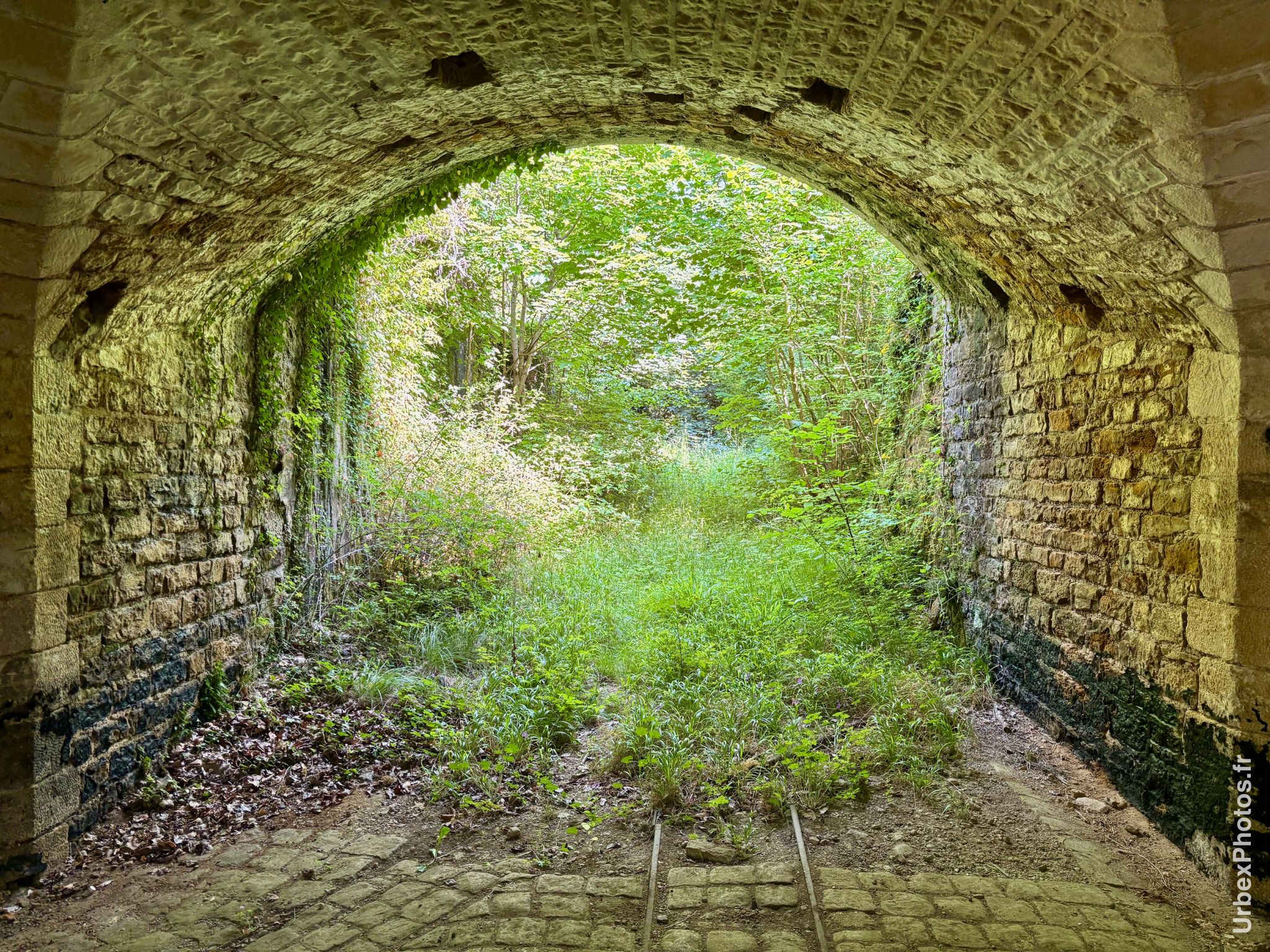 Photo urbex de la nature reprenant ses droits