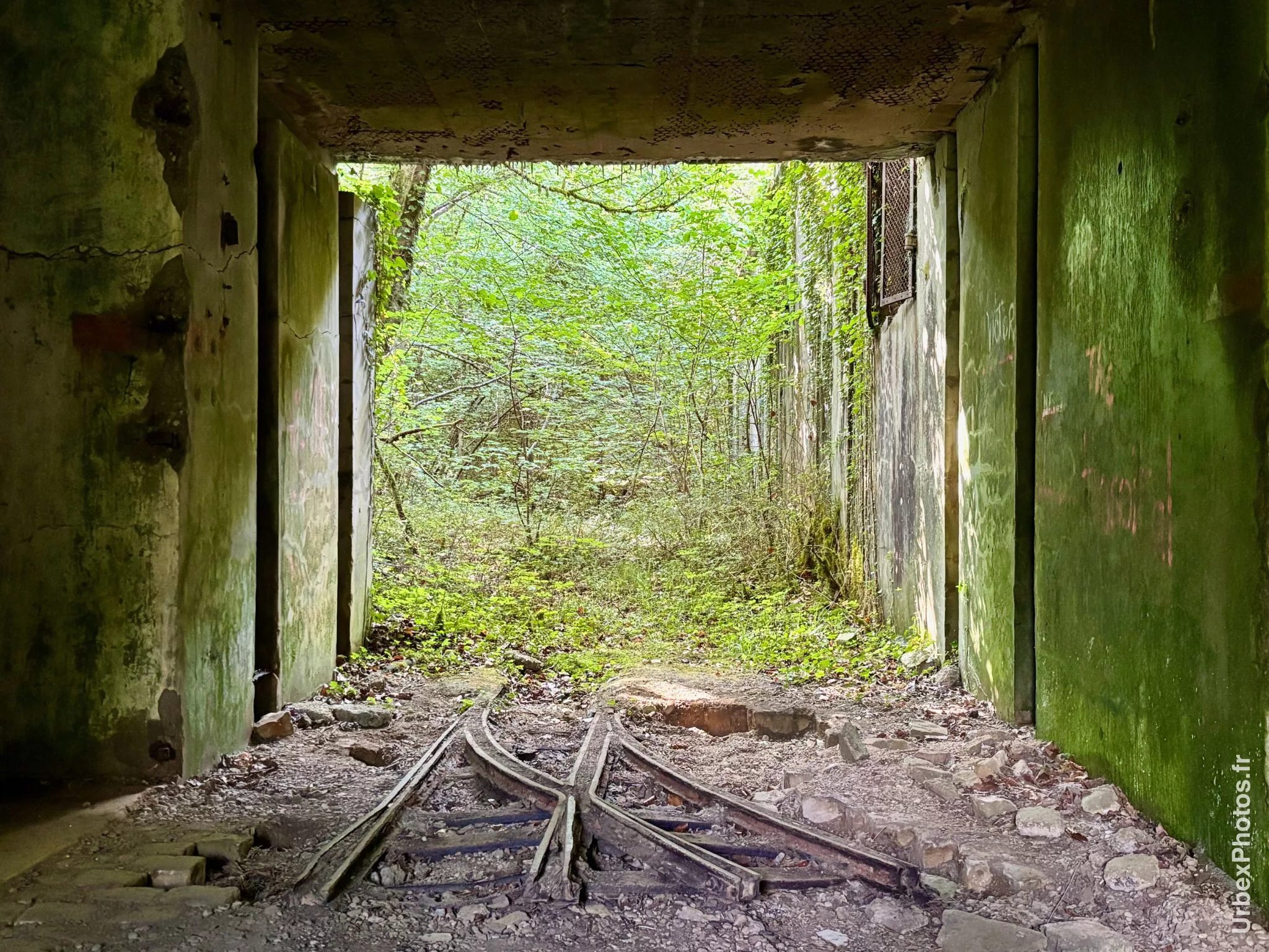 Photo urbex de la nature reprenant ses droits