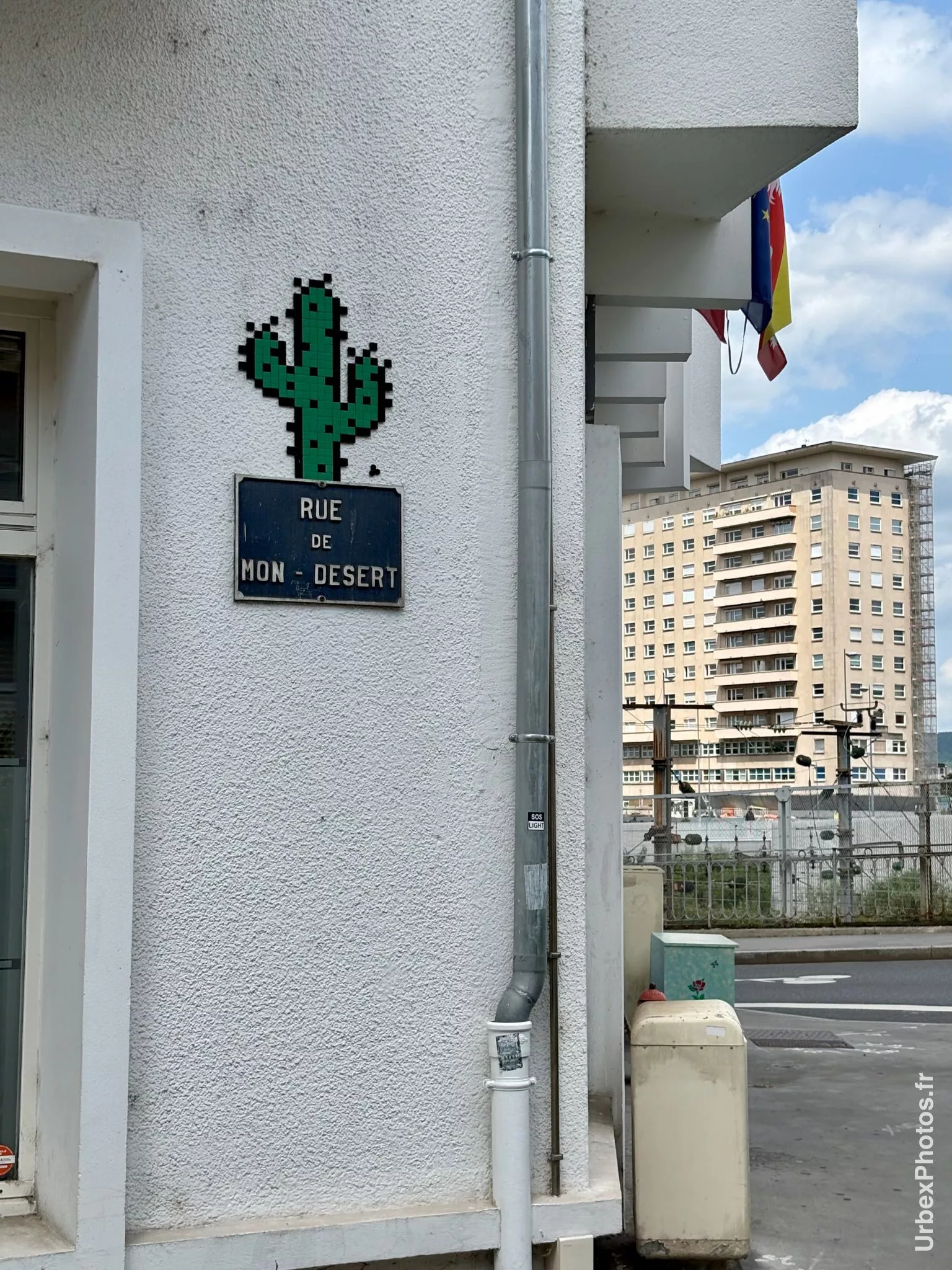 Mosaïque street art Nancy cactus