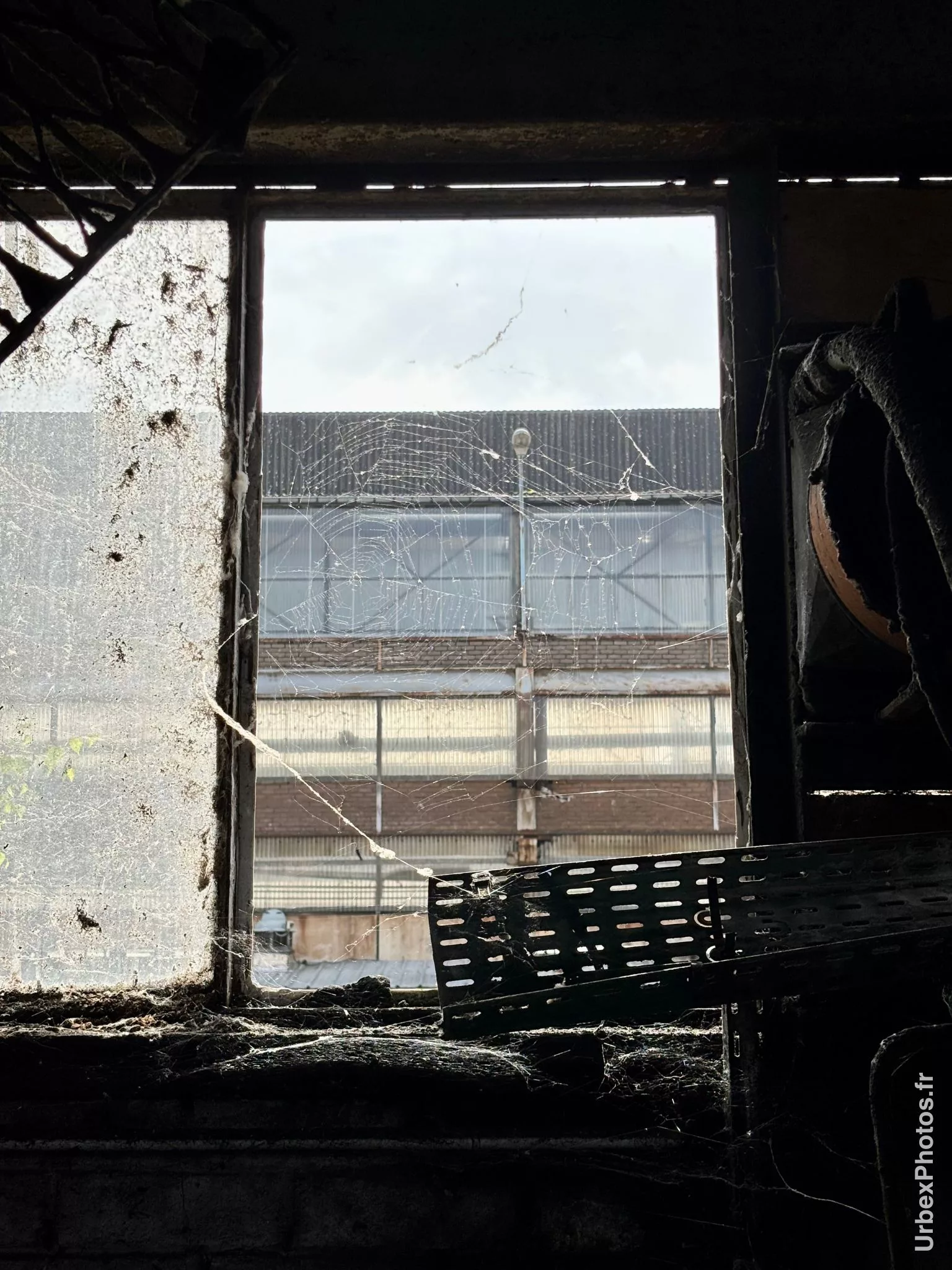 Photo urbex d'une toile d'araignée à une fenêtre