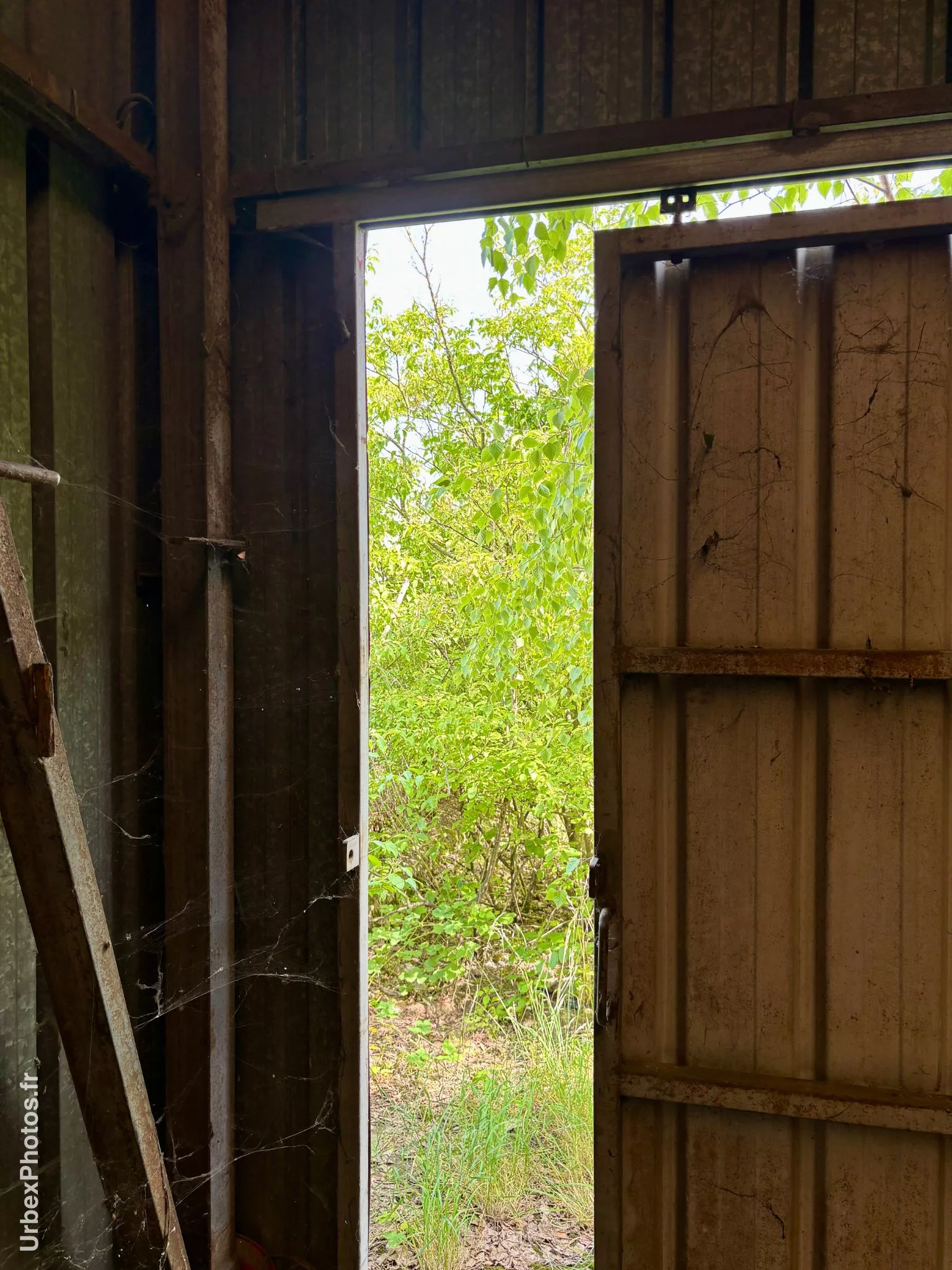 Photo urbex de végétation devant une porte
