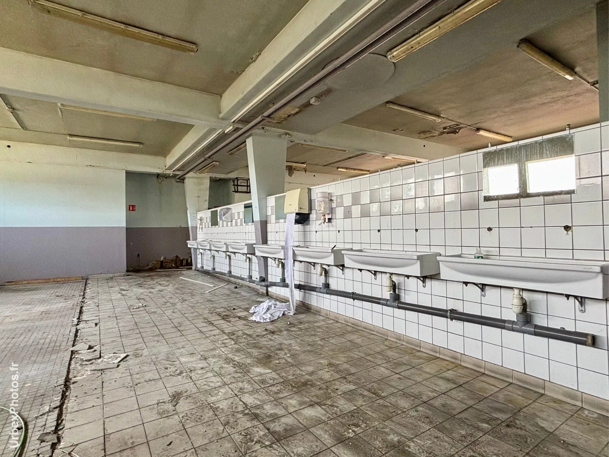 Lavabos de l'Usine Panini