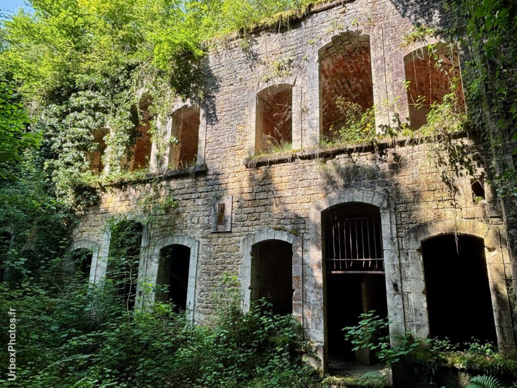 Photo urbex avec la nature reprenant ses droits en Lorraine