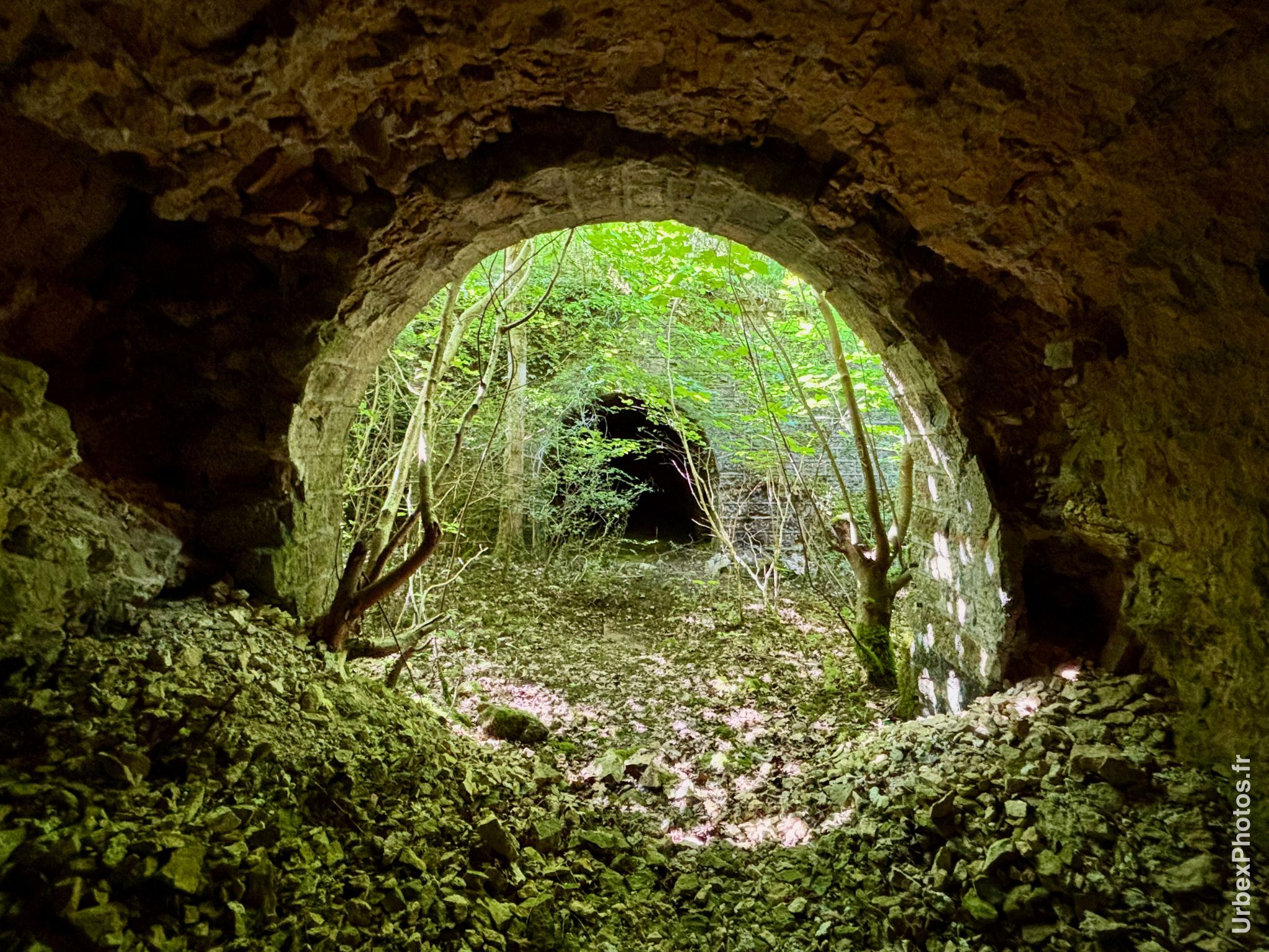 Photo urbex avec la nature reprenant ses droits en Lorraine
