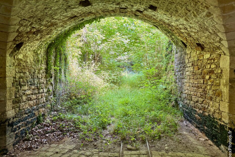 De la végétation à l'entrée du tunnel