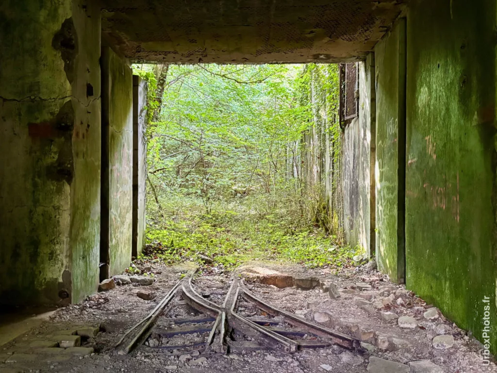Photo urbex avec la nature reprenant ses droits en Lorraine