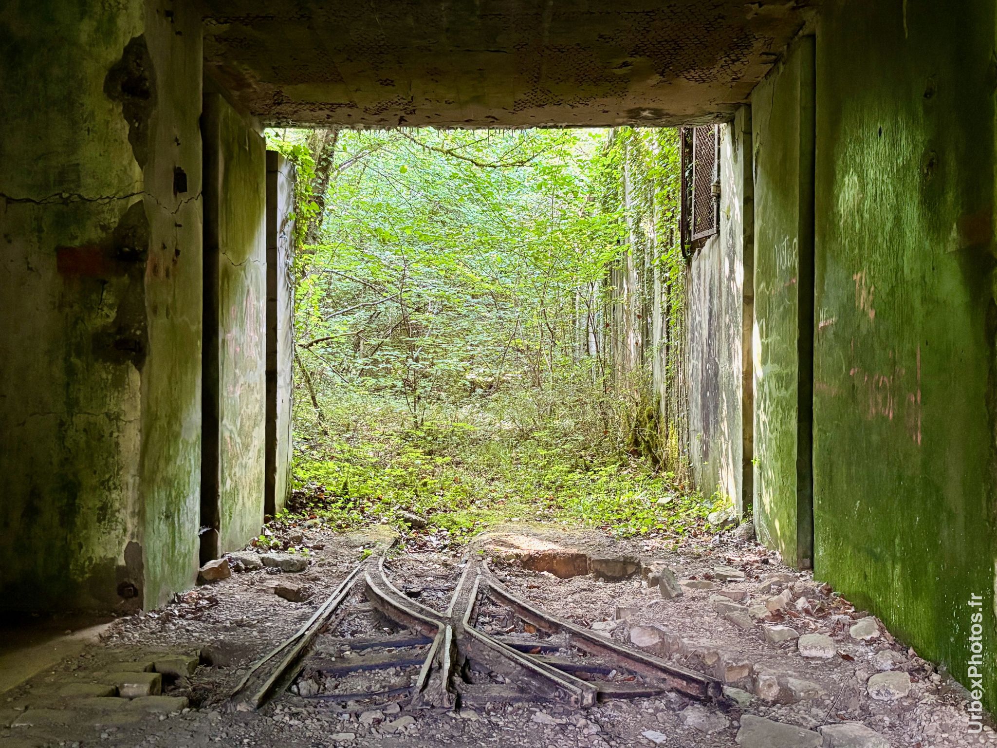 Photo urbex avec la nature reprenant ses droits en Lorraine