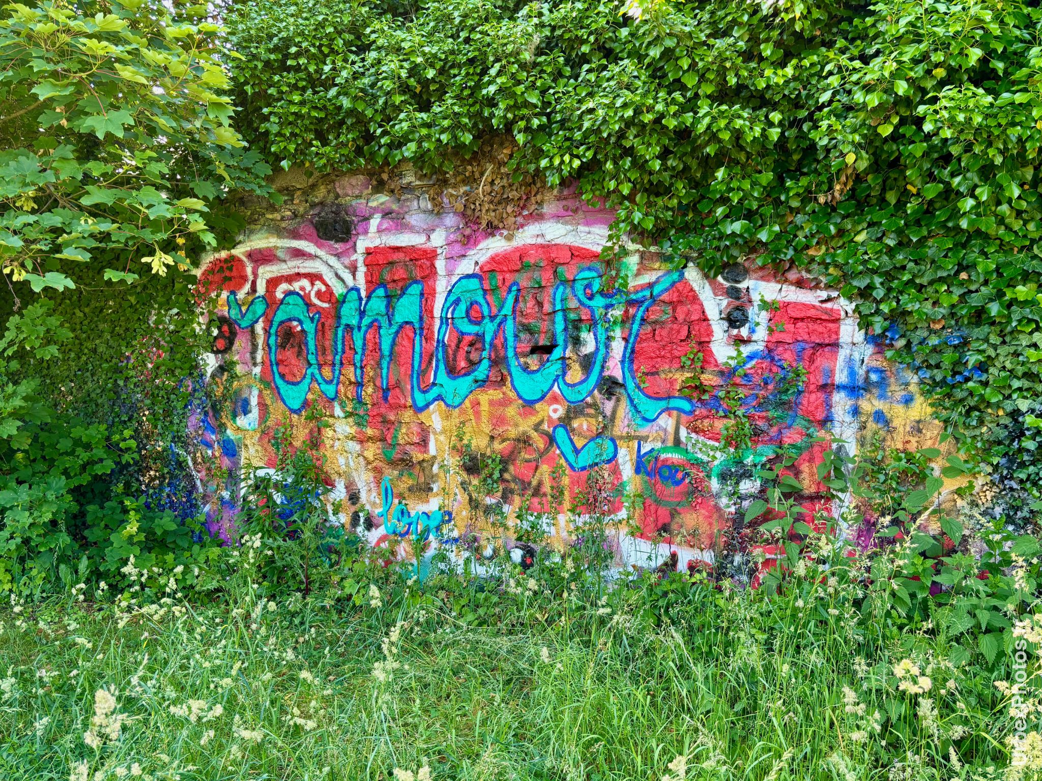 Photo street art de graffitis le long de la voie ferrée à Nancy