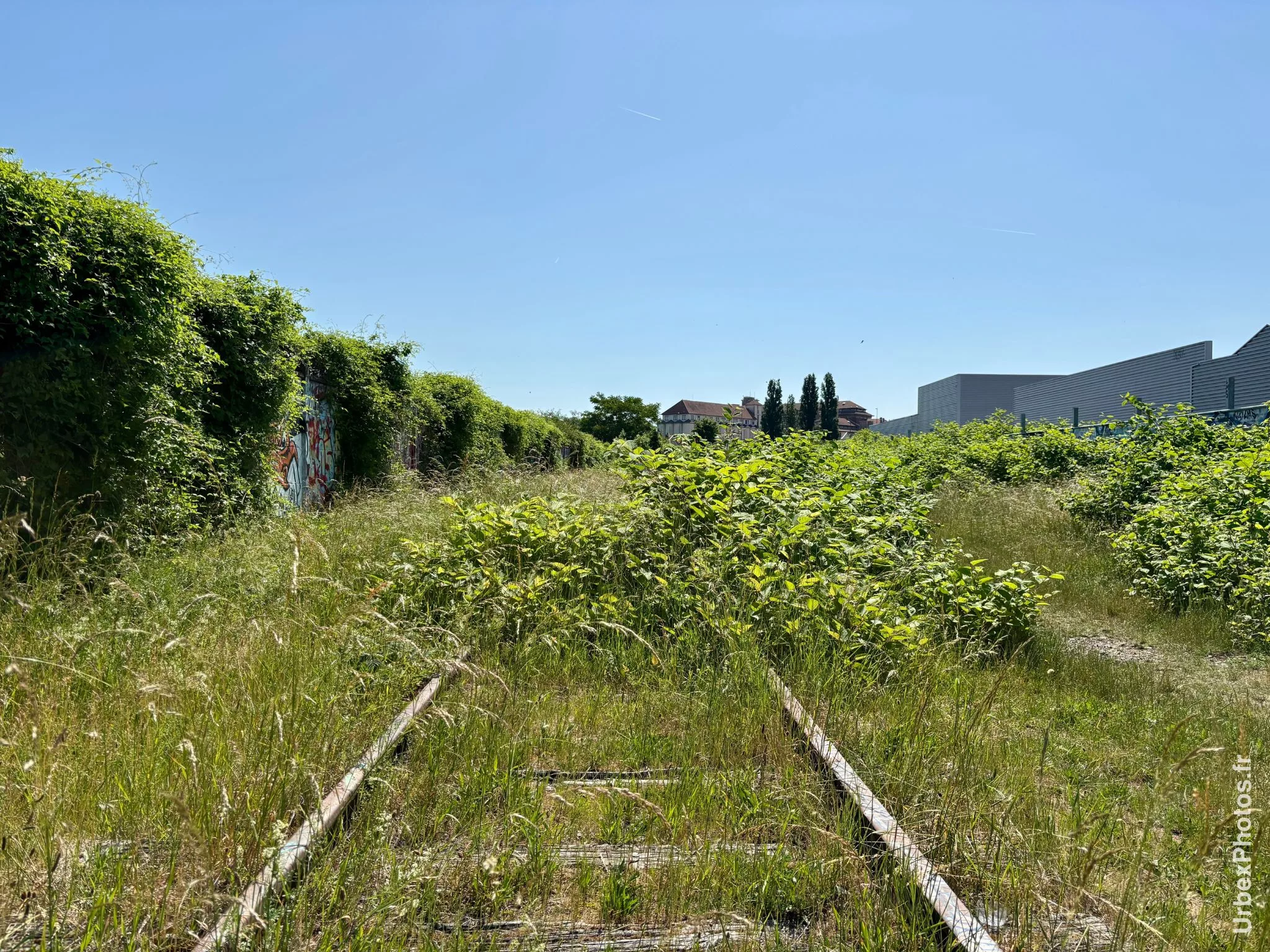 Voie ferrée le long de l'Usine Alstom