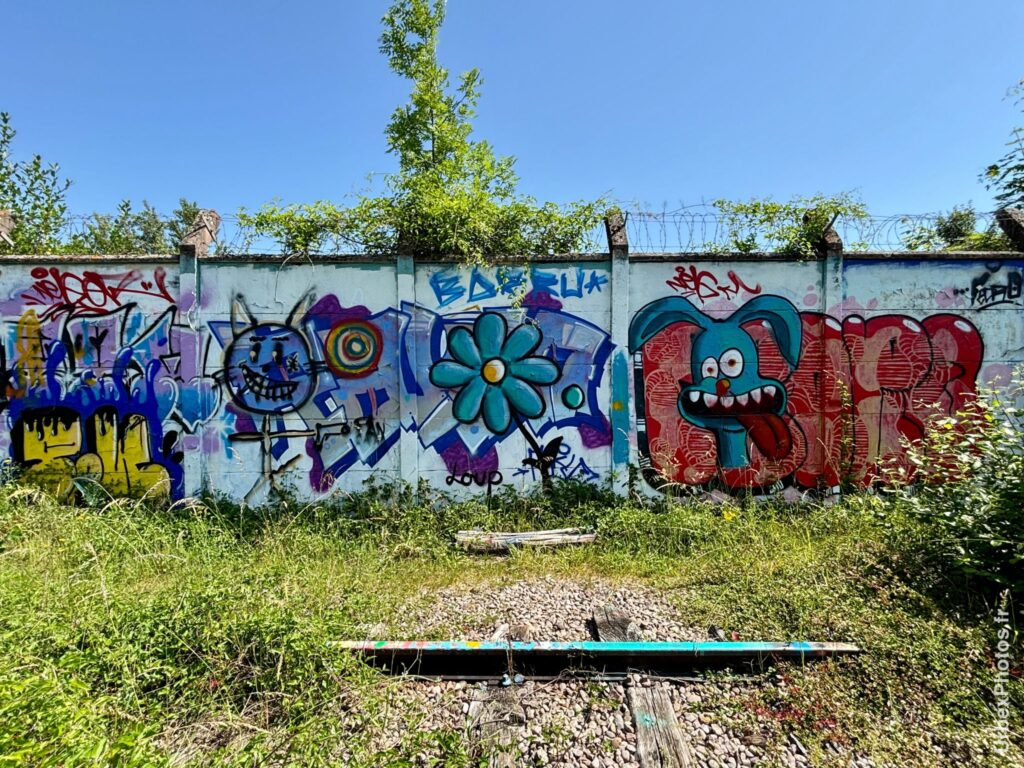 Art urbain de graffitis le long de la voie ferrée