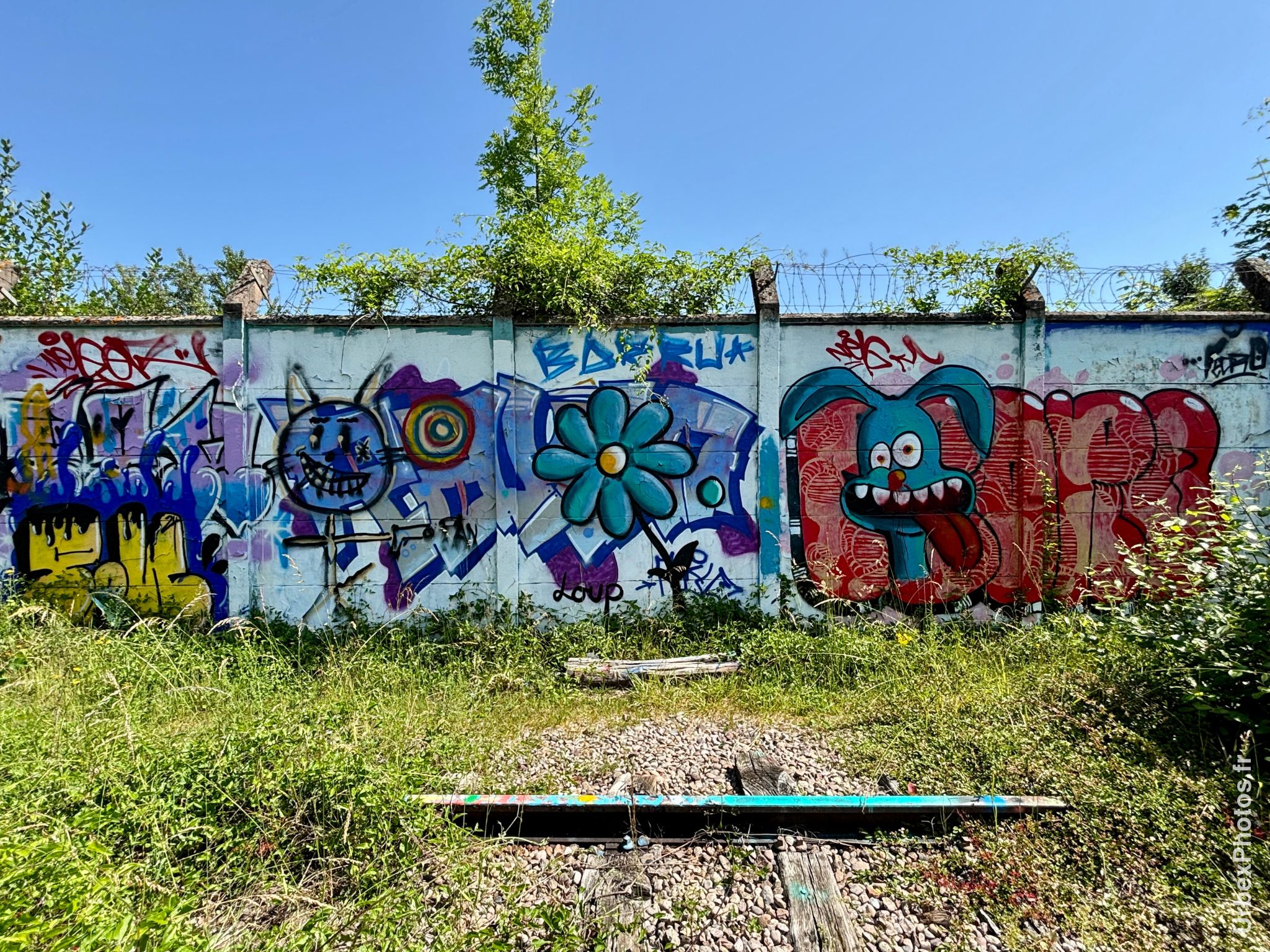 Art urbain de graffitis le long de la voie ferrée