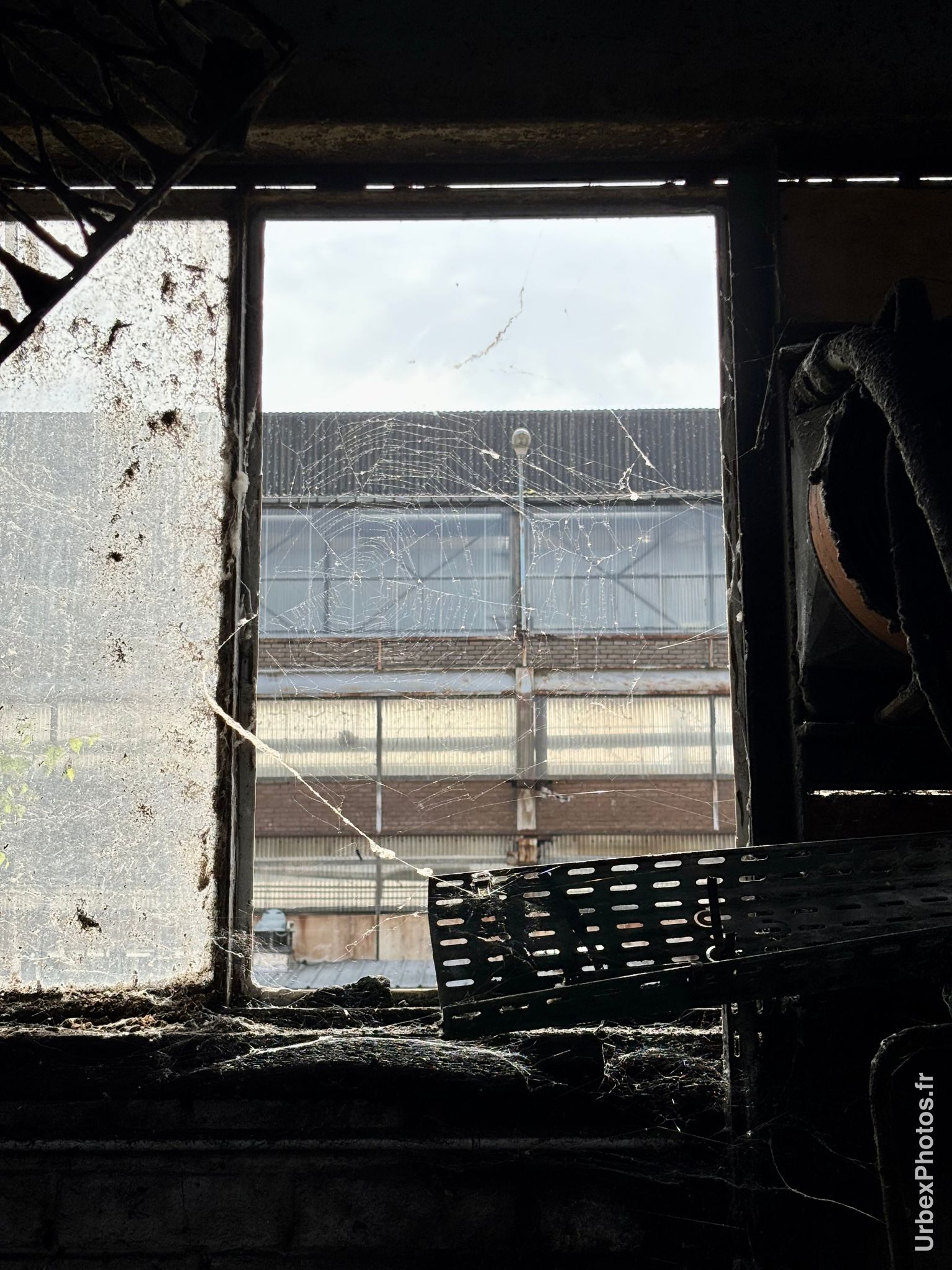 Photo urbex d'une toile d'araignée à une fenêtre en Lorraine
