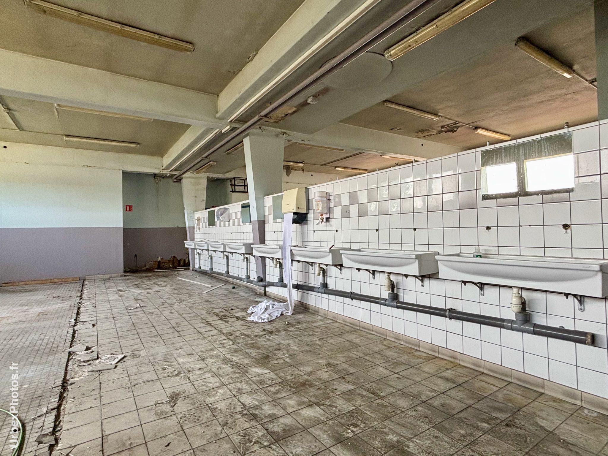 Lavabos de l'Usine Panini