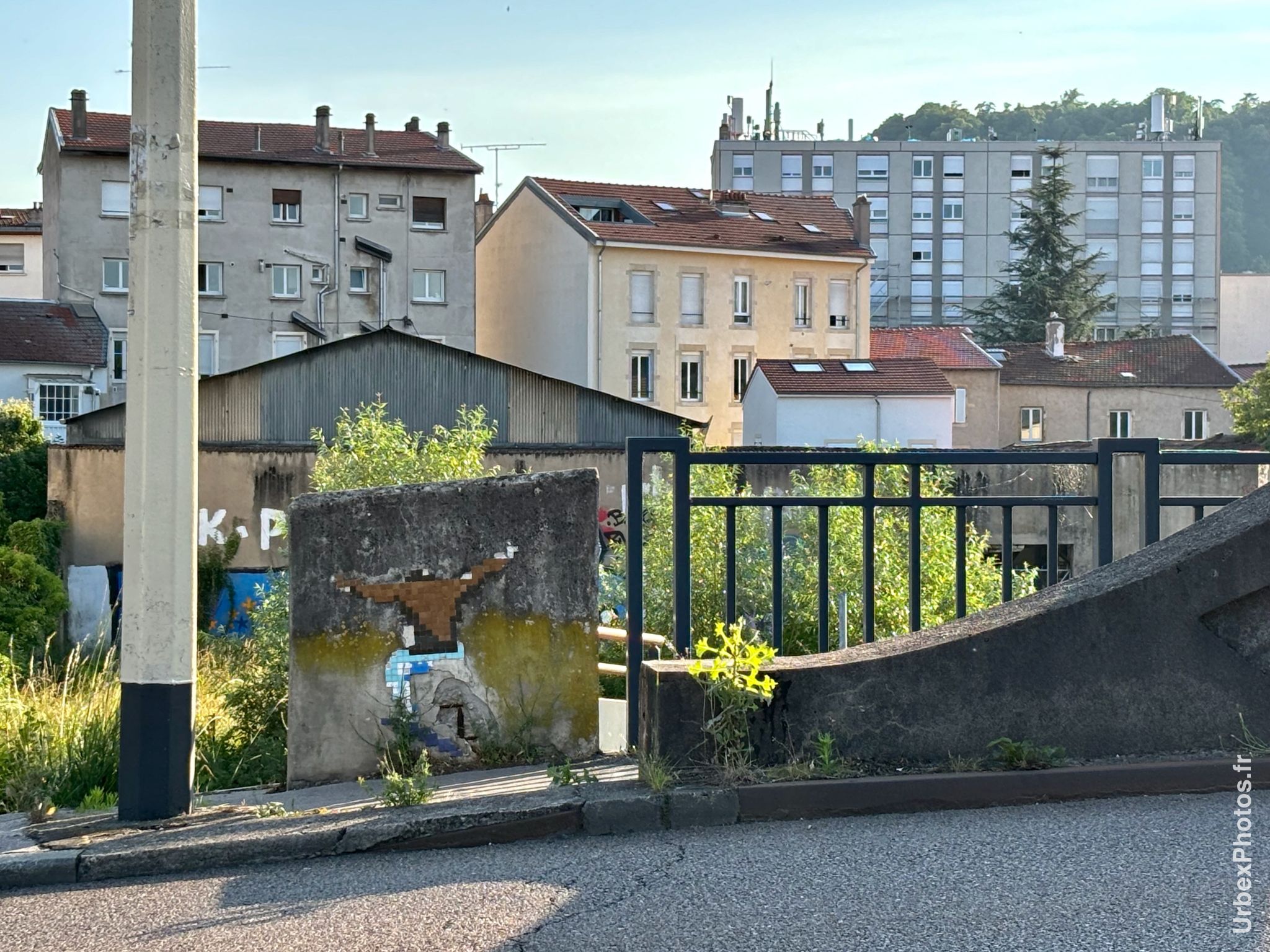 Mosaïque street art Nancy skateur