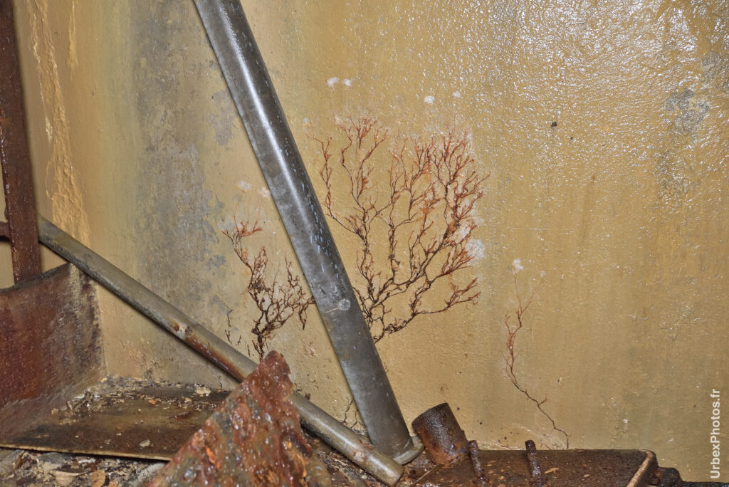 Moisissure dans un fort de la ligne Maginot