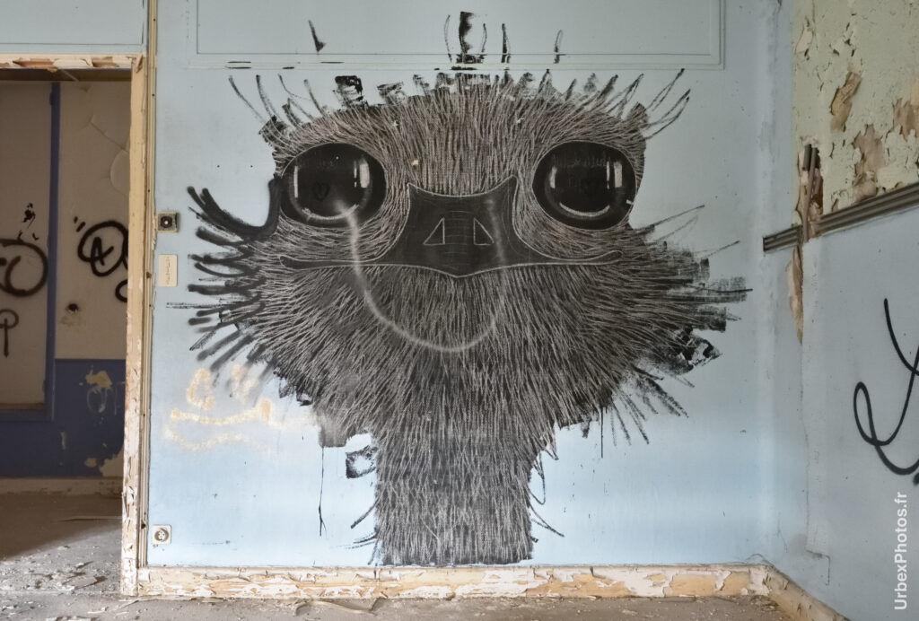 Photo urbex d'un graffiti dans le Sanatorium Simone Weber en Lorraine
