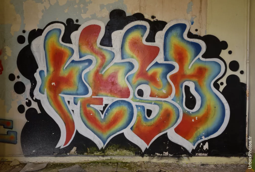 Un graffiti dans le Sanatorium Simone Weber