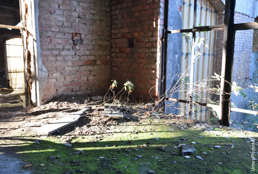 Une plante dans la Mine Yutani