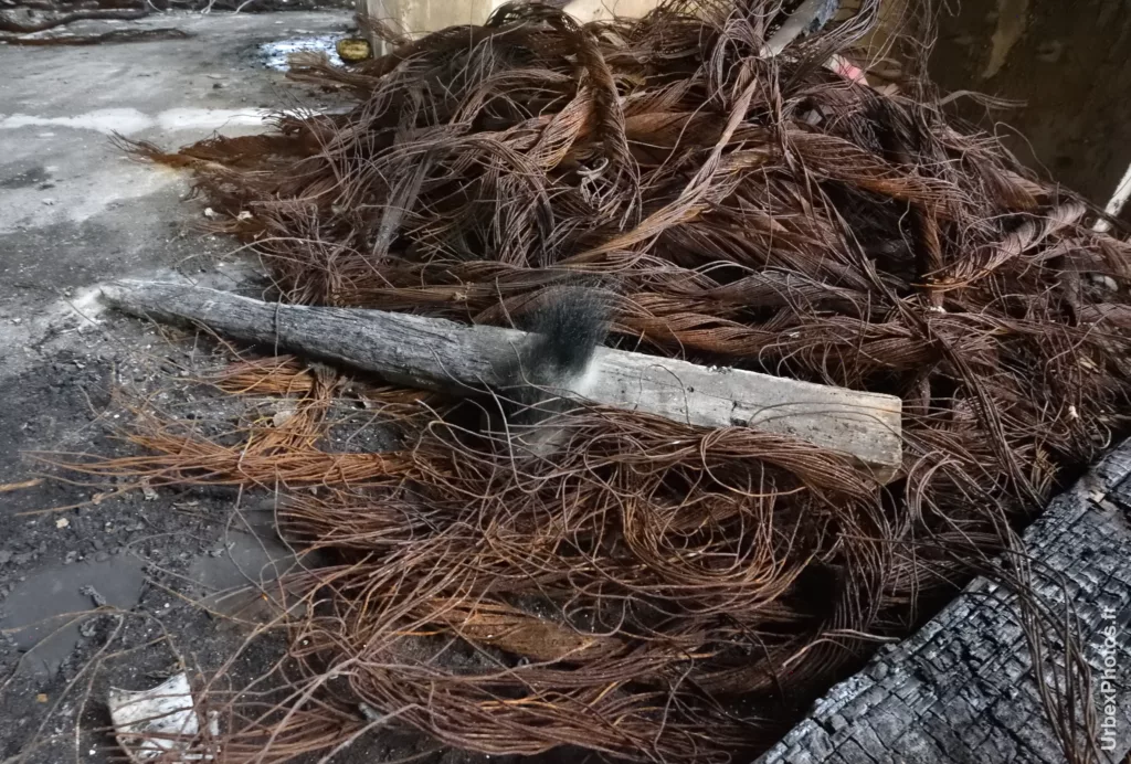 Une moisissure dans la Mine Yutani