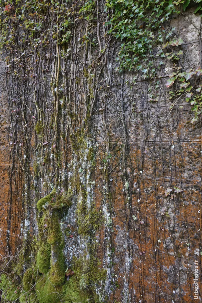 Vue de détail sur le mur