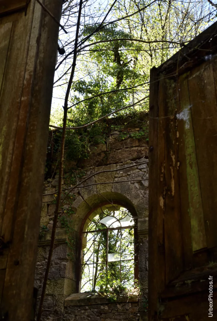 Photo urbex d'un arbre poussant sur un mur du Château Baghera en Lorraine