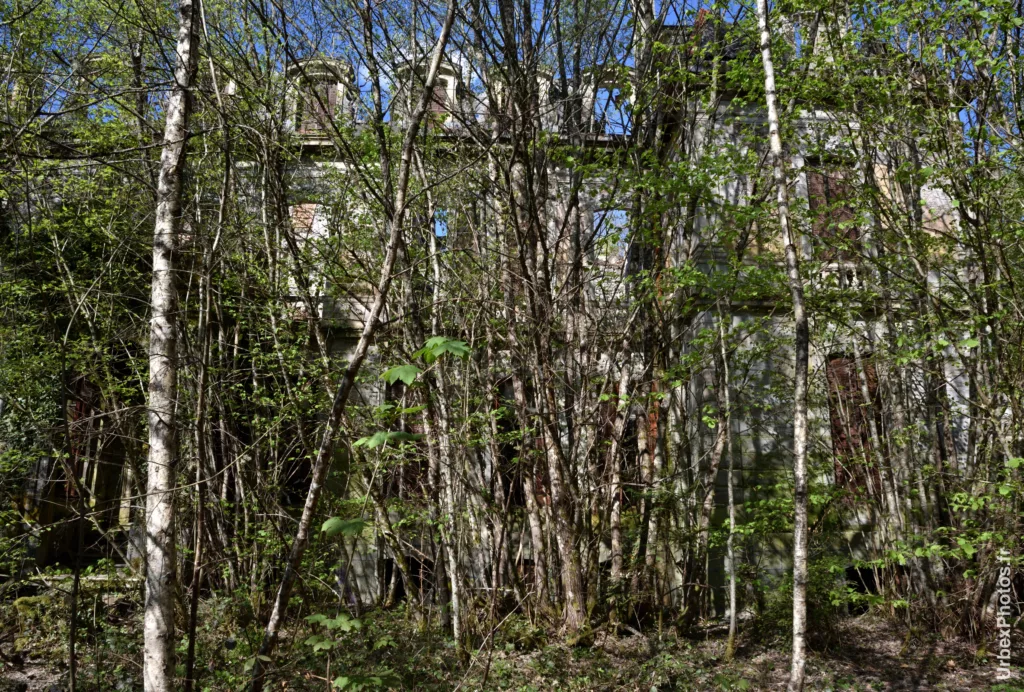 Façade masquée par la végétation