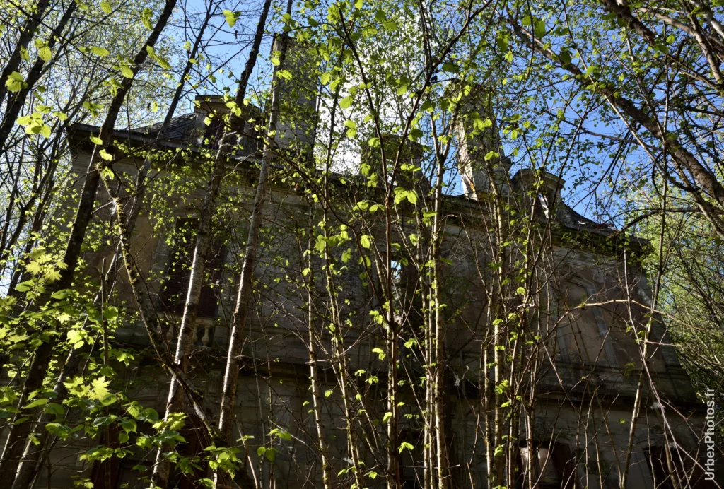 Façade masquée par la végétation