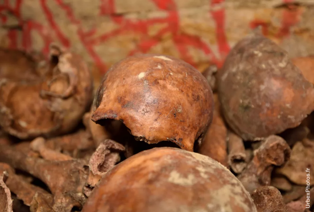 Photo urbex du gros plan d'un crâne dans les catacombes interdites de Paris