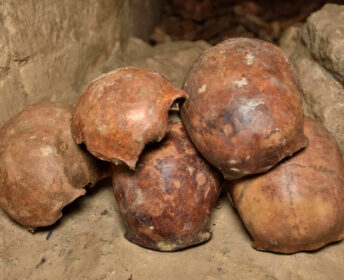 Photo urbex du gros plan de crânes dans les catacombes interdites de Paris