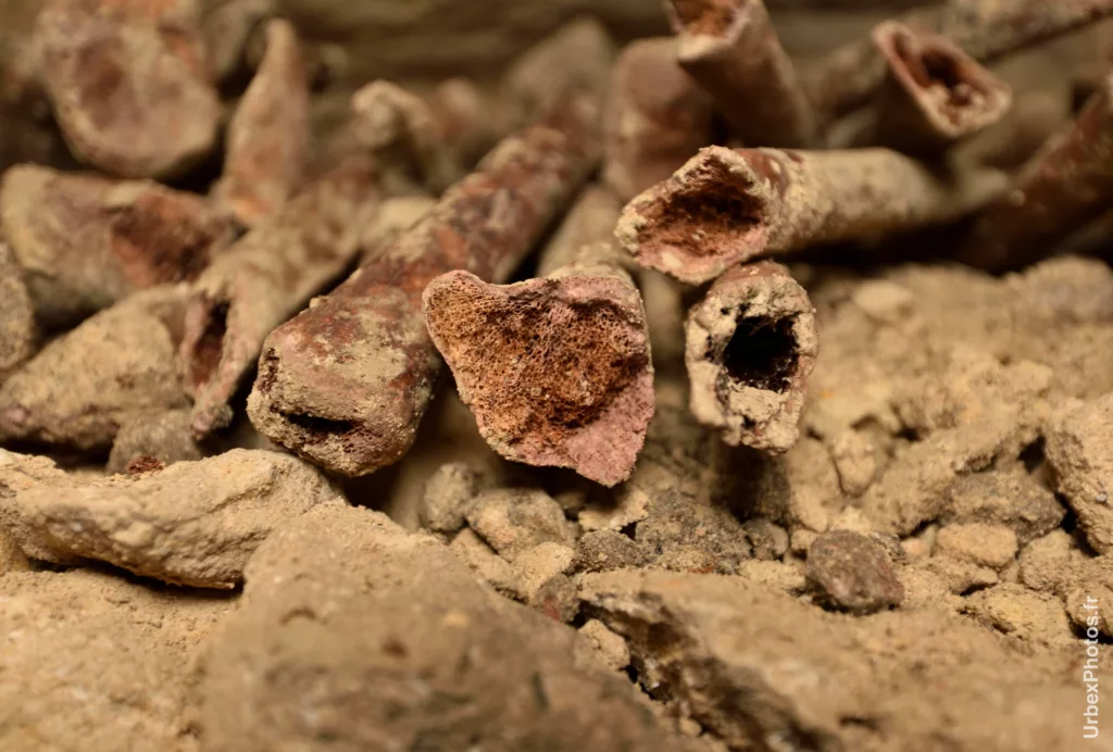 Photo urbex du gros plan de l'intérieur d'un os dans les catacombes interdites de Paris