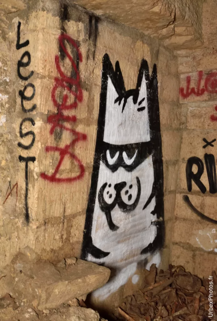 Graffiti d'un chat dans les catacombes interdites de Paris