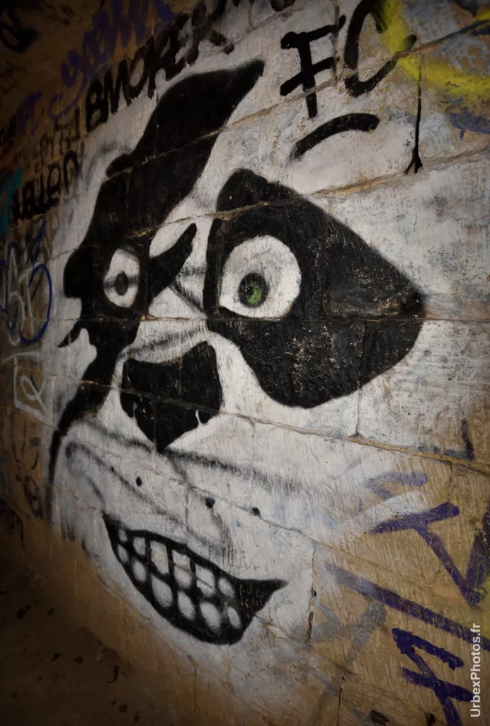 Graffiti d'un panda dans les catacombes interdites de Paris